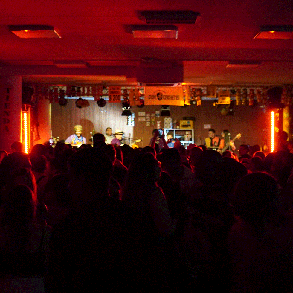 Conciertos